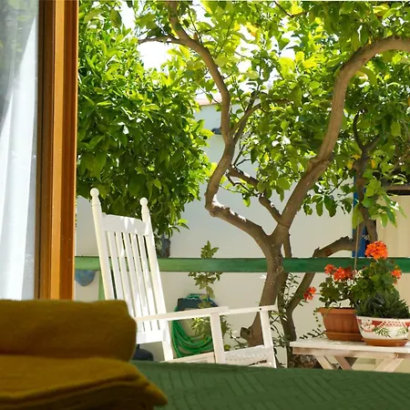 Rosa's House Colorful With Garden Olbia